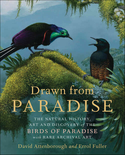 Book cover of Drawn from Paradise: The Natural History, Art and Discovery of the Birds of Paradise with Rare Archival Art