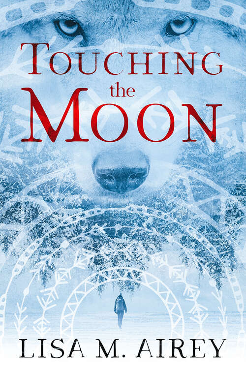 Book cover of Touching the Moon (Touching the Moon)