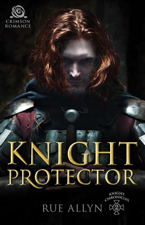 Book cover of Knight Protector