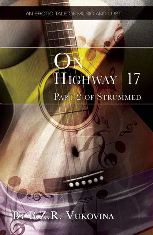 Book cover of On Highway 17