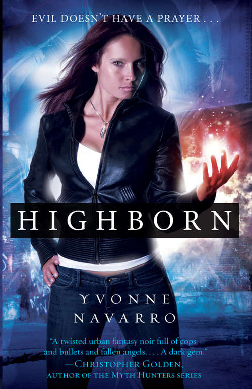 Book cover of Highborn