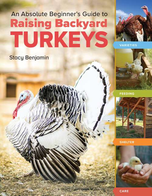 Book cover of An Absolute Beginner's Guide to Raising Backyard Turkeys: Varieties, Feeding, Shelter, Care