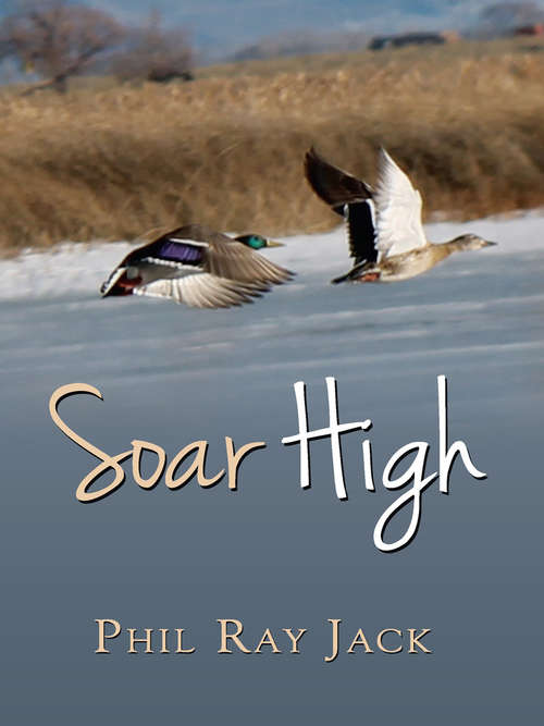 Book cover of Soar High