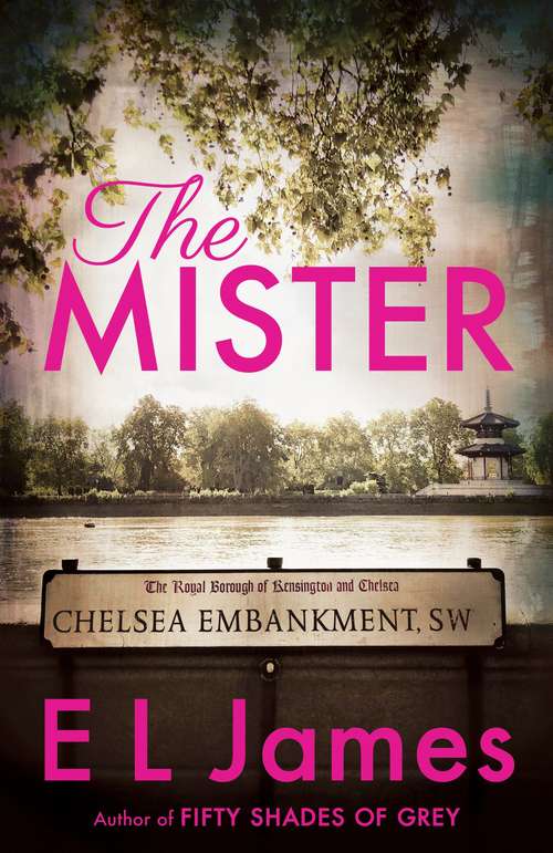 Book cover of The Mister