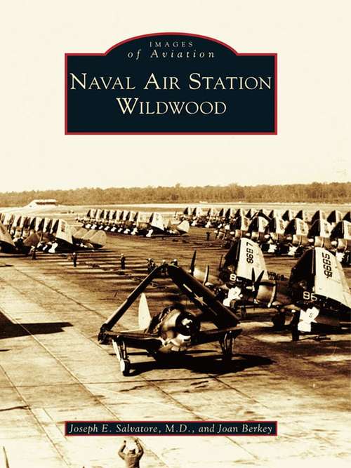 Book cover of Naval Air Station Wildwood (Images of Aviation)