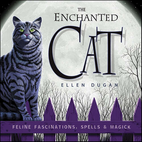 Book cover of The Enchanted Cat: Feline Fascinations, Spells & Magick