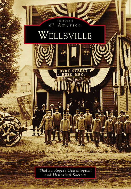 Book cover of Wellsville