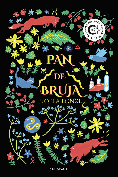 Book cover of Pan de Bruja