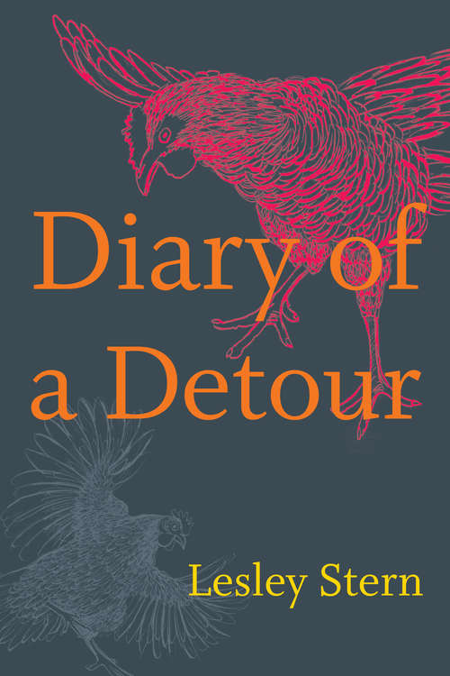 Book cover of Diary of a Detour (Writing Matters!)