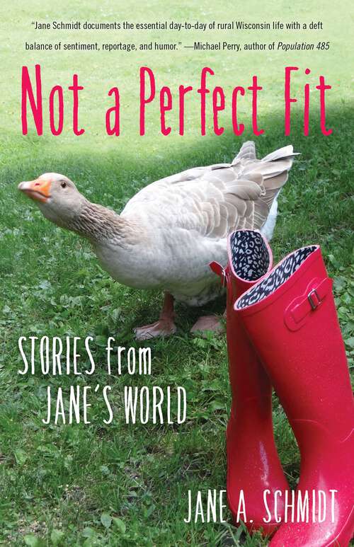 Book cover of Not a Perfect Fit: Stories from Jane's World