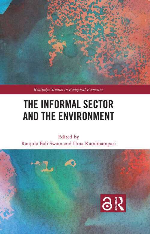 Book cover of The Informal Sector and the Environment (Routledge Studies in Ecological Economics)