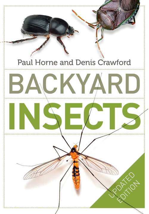 Book cover of Backyard Insects Updated Edition