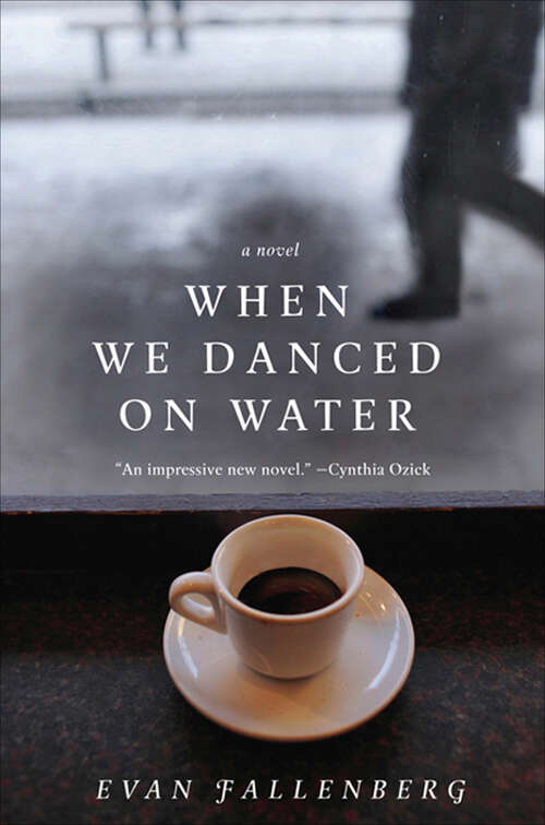 Book cover of When We Danced on Water: A Novel