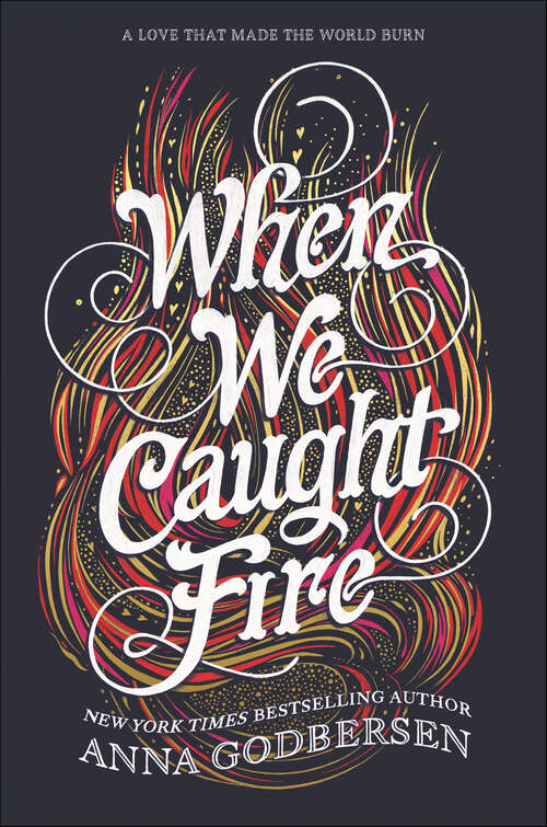 Book cover of When We Caught Fire