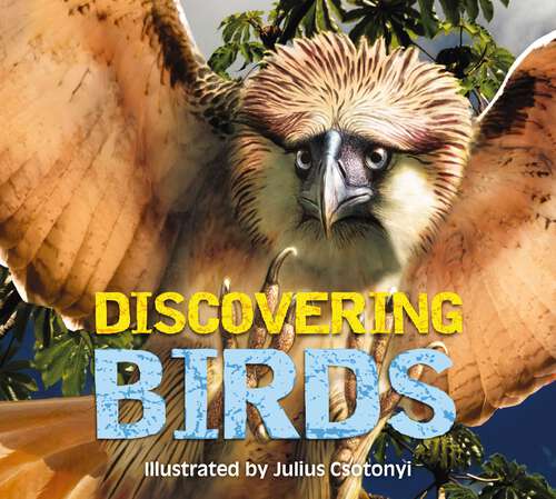 Book cover of Discovering Birds: The Ultimate Handbook to the Birds of the World