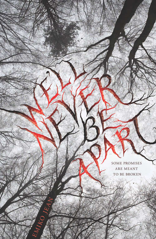 Book cover of We'll Never Be Apart