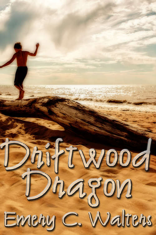 Book cover of Driftwood Dragon