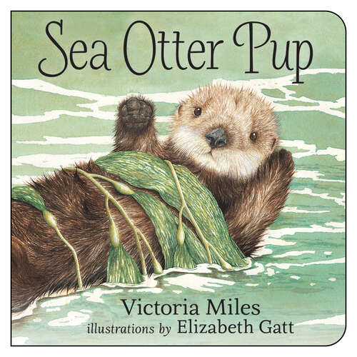 Book cover of Sea Otter Pup (Board Bks.)