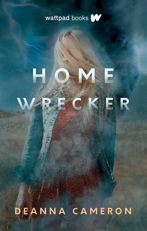 Book cover of Homewrecker