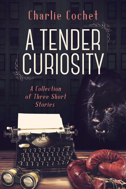 Book cover of A Tender Curiosity