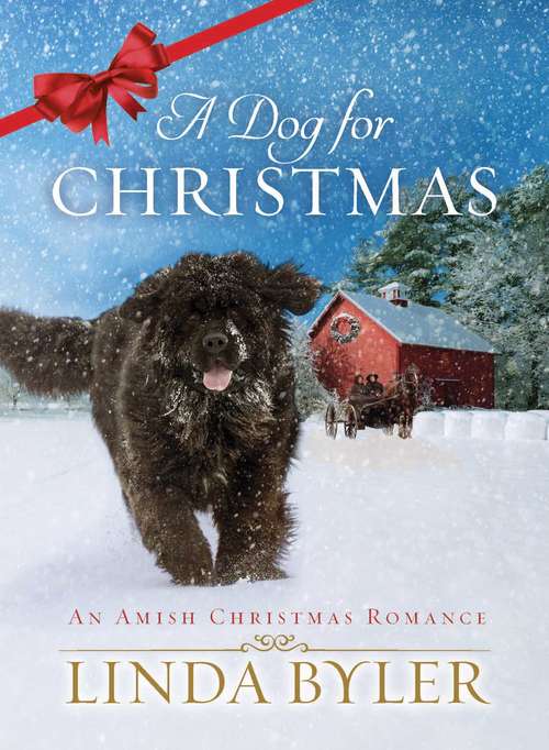 Book cover of A Dog for Christmas