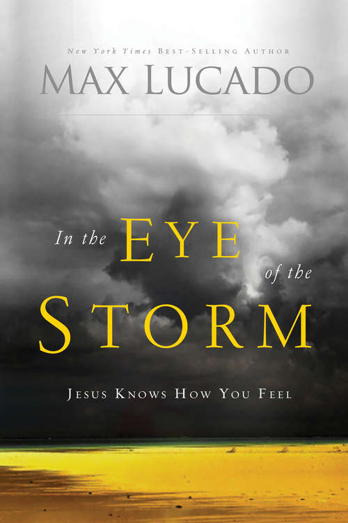 Book cover of In the Eye of the Storm: A Day in the Life of Jesus