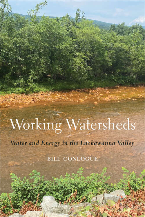 Book cover of Working Watersheds: Water and Energy in the Lackawanna Valley