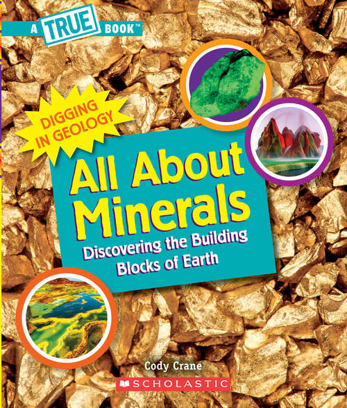 Book cover of All About Minerals (A True Book (Relaunch))