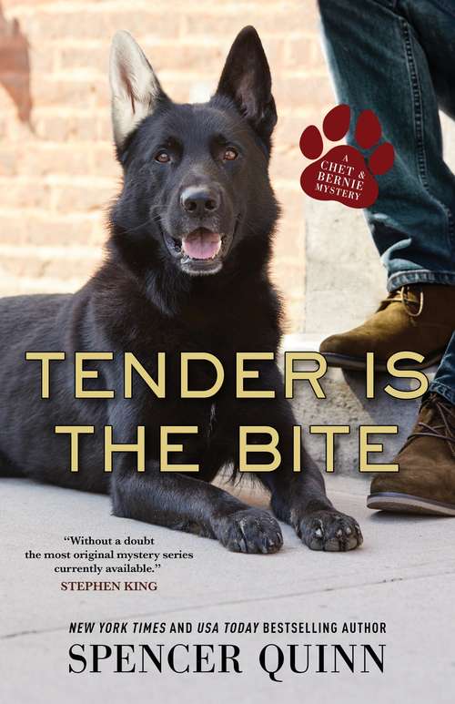 Book cover of Tender Is the Bite: A Chet & Bernie Mystery (A Chet & Bernie Mystery #11)