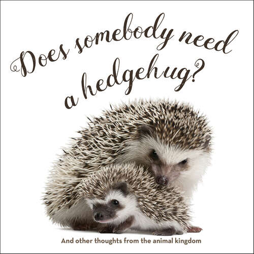 Book cover of Does Somebody Need a Hedgehug?: And Other Thoughts from the Animal Kingdom