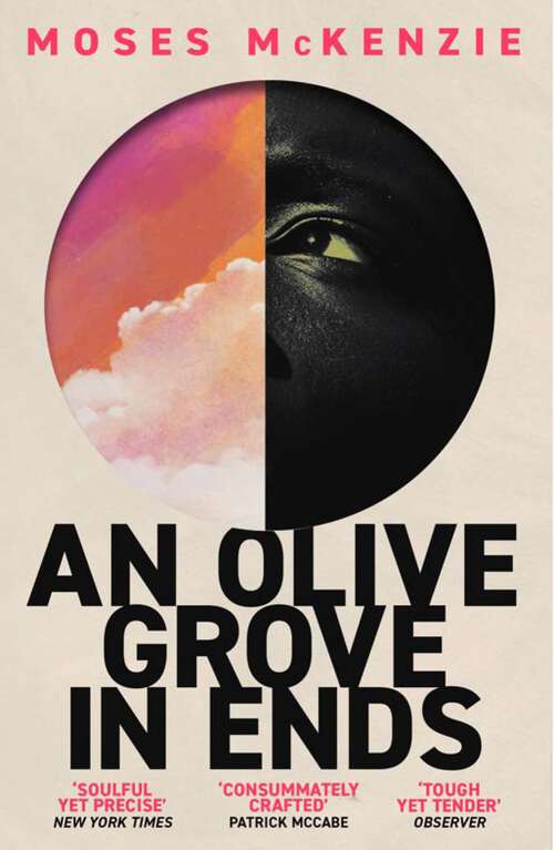 Book cover of An Olive Grove in Ends: The dazzling debut novel about love, faith and community, by an electrifying new voice