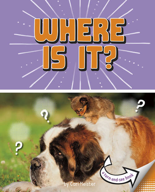 Book cover of Where Is It?: A Turn-and-See Book (What's Next?)