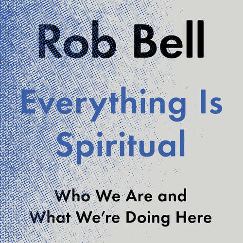 Book cover of Everything is Spiritual: A Brief Guide to Who We Are and What We're Doing Here