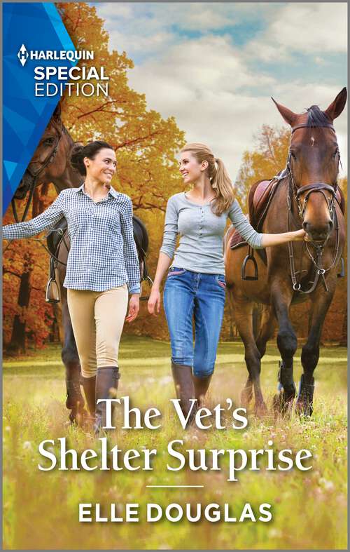 Book cover of The Vet's Shelter Surprise (Original)