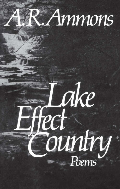 Book cover of Lake Effect Country: Poems