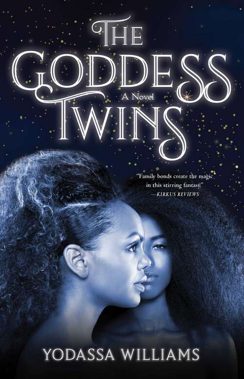 Book cover of The Goddess Twins: A Novel