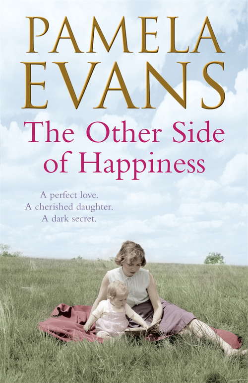Book cover of The Other Side of Happiness: A perfect love. A cherished daughter. A dark secret.