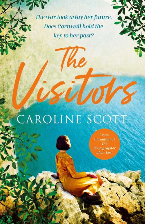 Book cover of The Visitors