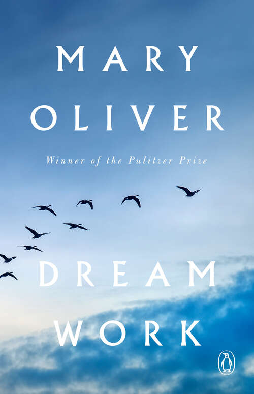 Book cover of Dream Work