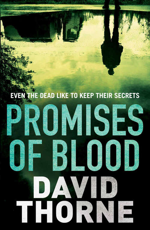 Book cover of Promises of Blood (Daniel Connell #3)