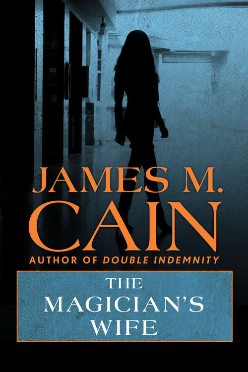 Book cover of The Magician's Wife