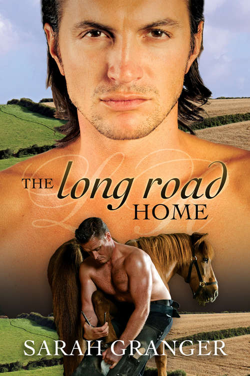 Book cover of The Long Road Home