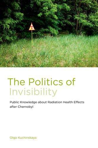 Book cover of The Politics of Invisibility