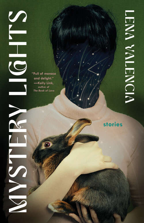 Book cover of Mystery Lights