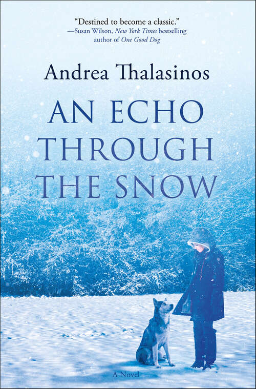 Book cover of An Echo Through the Snow: A Novel