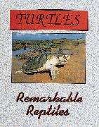 Book cover of Turtles and Tortoises