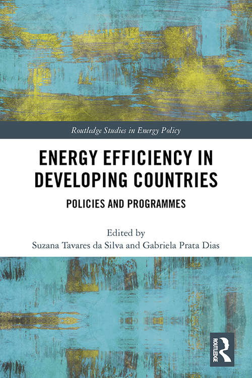 Book cover of Energy Efficiency in Developing Countries: Policies and Programmes (Routledge Studies in Energy Policy)