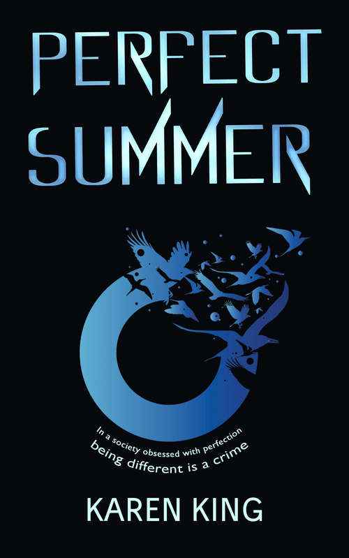 Book cover of Perfect summer