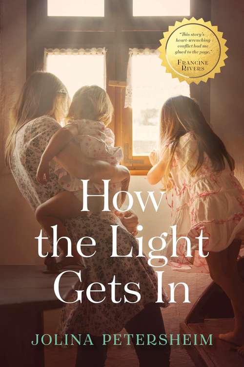 Book cover of How The Light Gets In