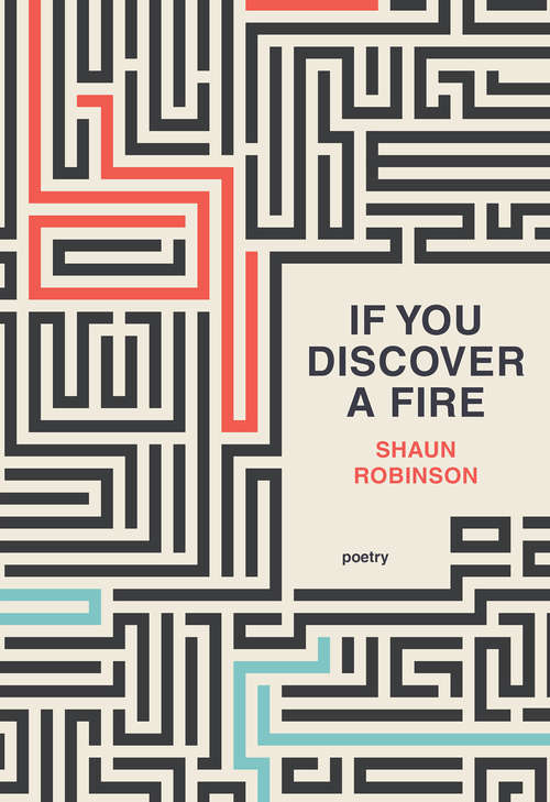 Book cover of If You Discover a Fire
